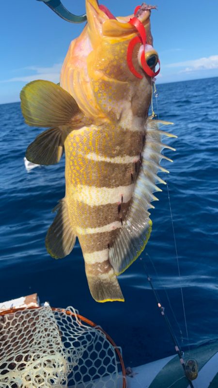 酷暑のボート釣行