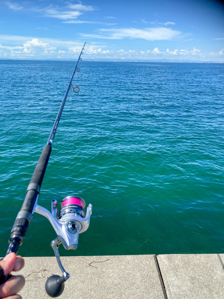 淡路島ショアジギングでツバス