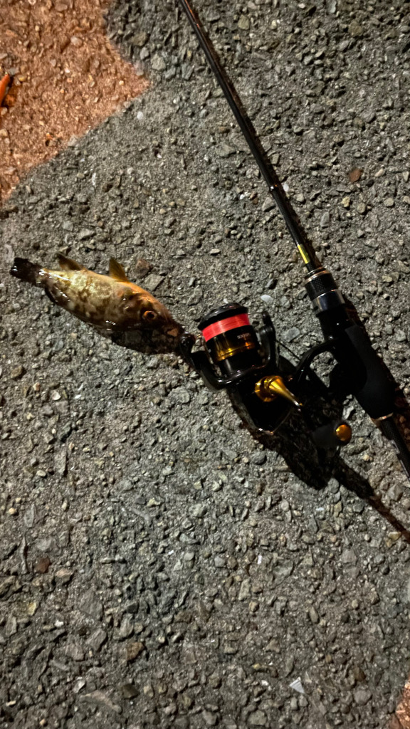 満足のいく結果に