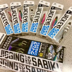 ケンサキイカゲットにゃ！