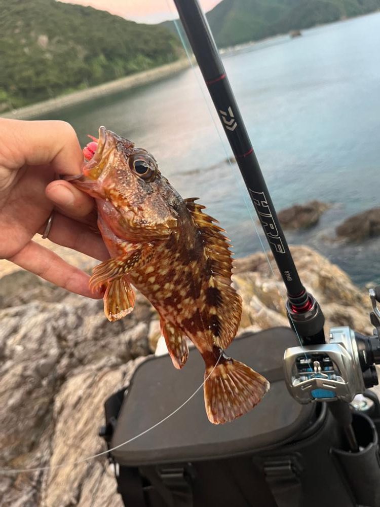 小浜ライトゲーム