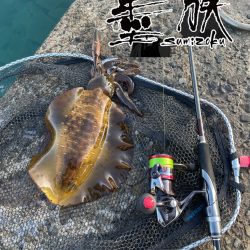 朝まずめ2時間勝負