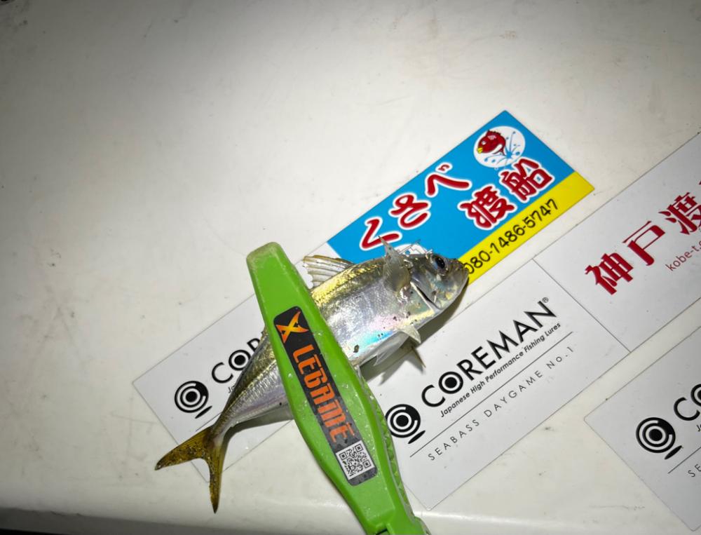 シーバスゲーム