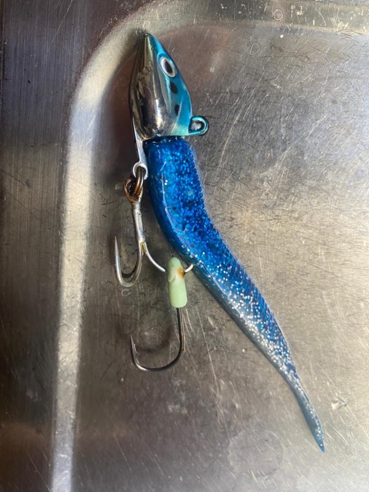 まさかのワームで4本太刀魚！！