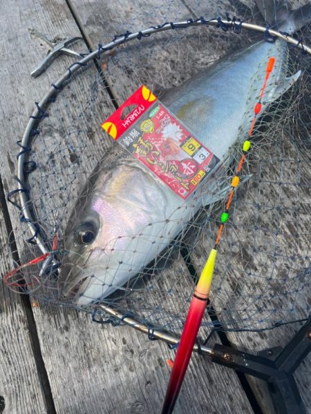 釣堀紀州行ってきました！