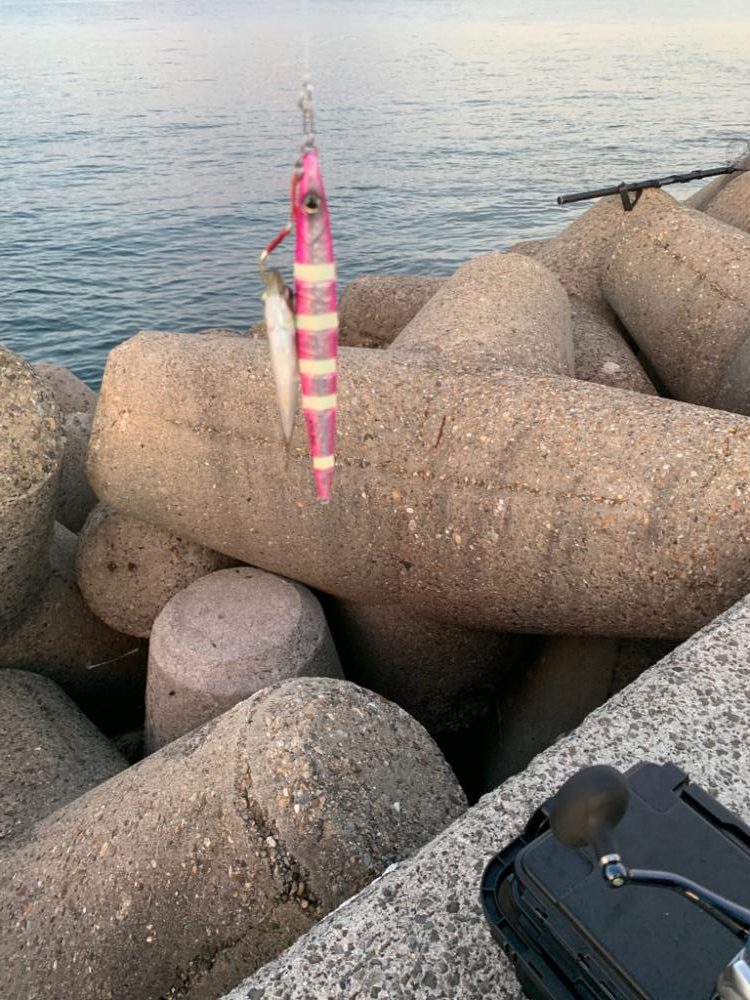 逃した魚はでかい