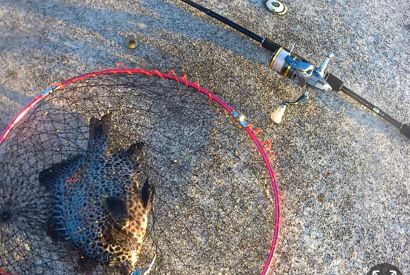 エギングタックルでかぶせ釣り!