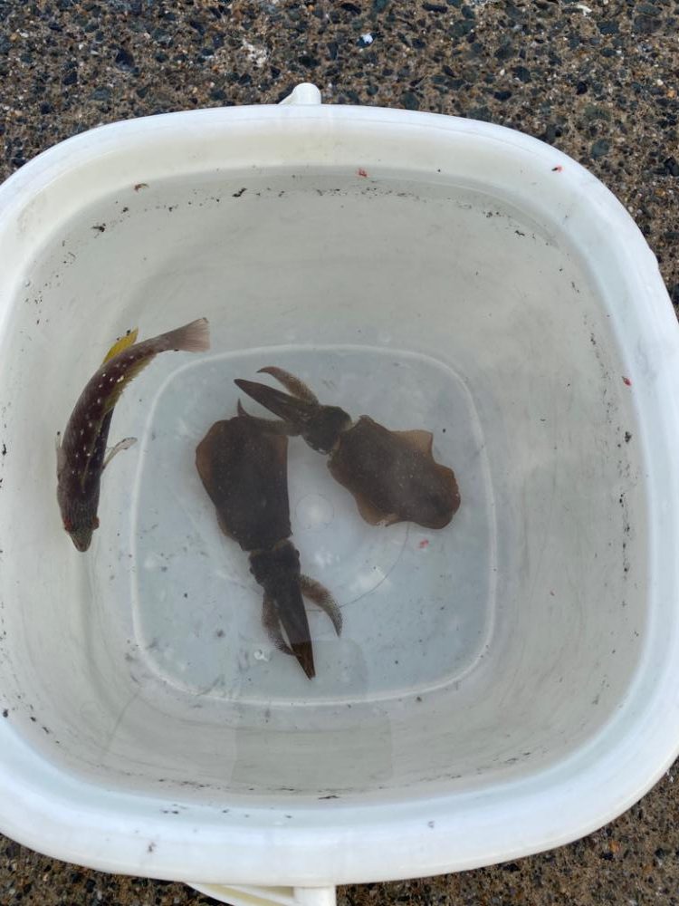 ファミリーフィッシング