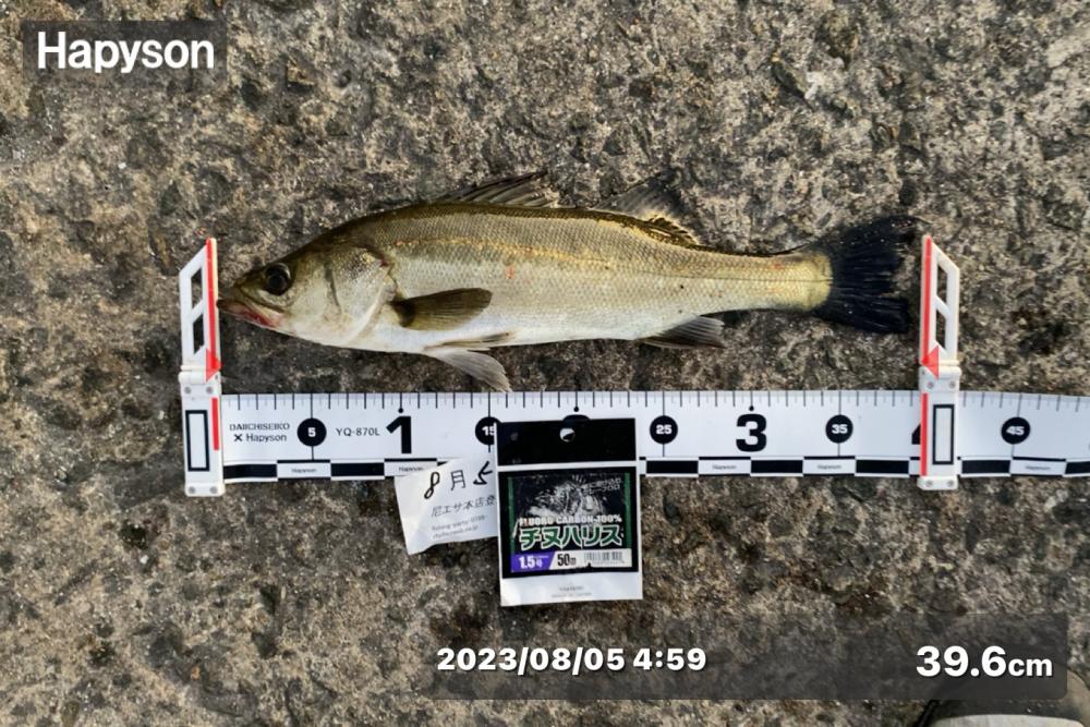 暑さが厳しい中