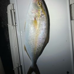 ボートアジング