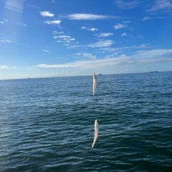 姫路のキス釣りサイズアップするも渋め！