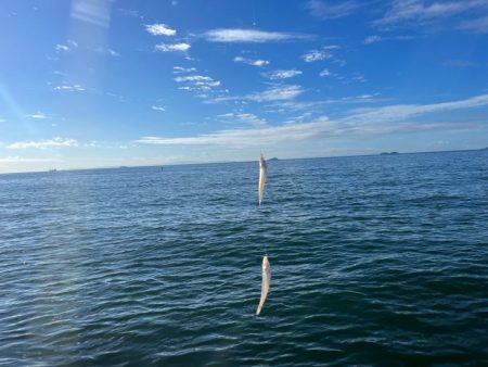 姫路のキス釣りサイズアップするも渋め！