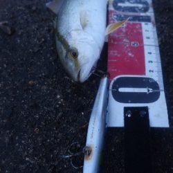 小雨凪潮の曇り空