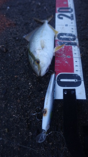 小雨凪潮の曇り空