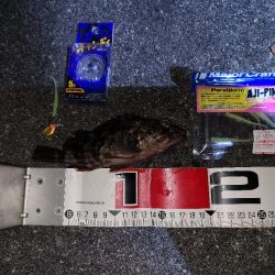 やっとガシラマンション見つけました!!