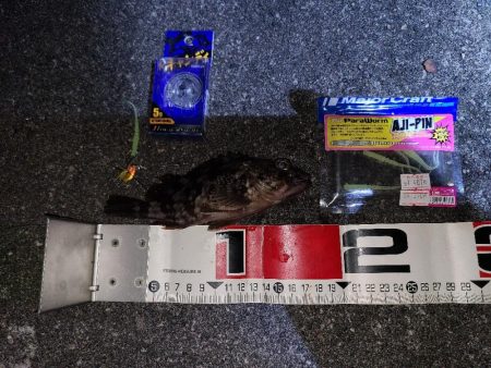 やっとガシラマンション見つけました!!