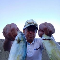 プチsalt water game