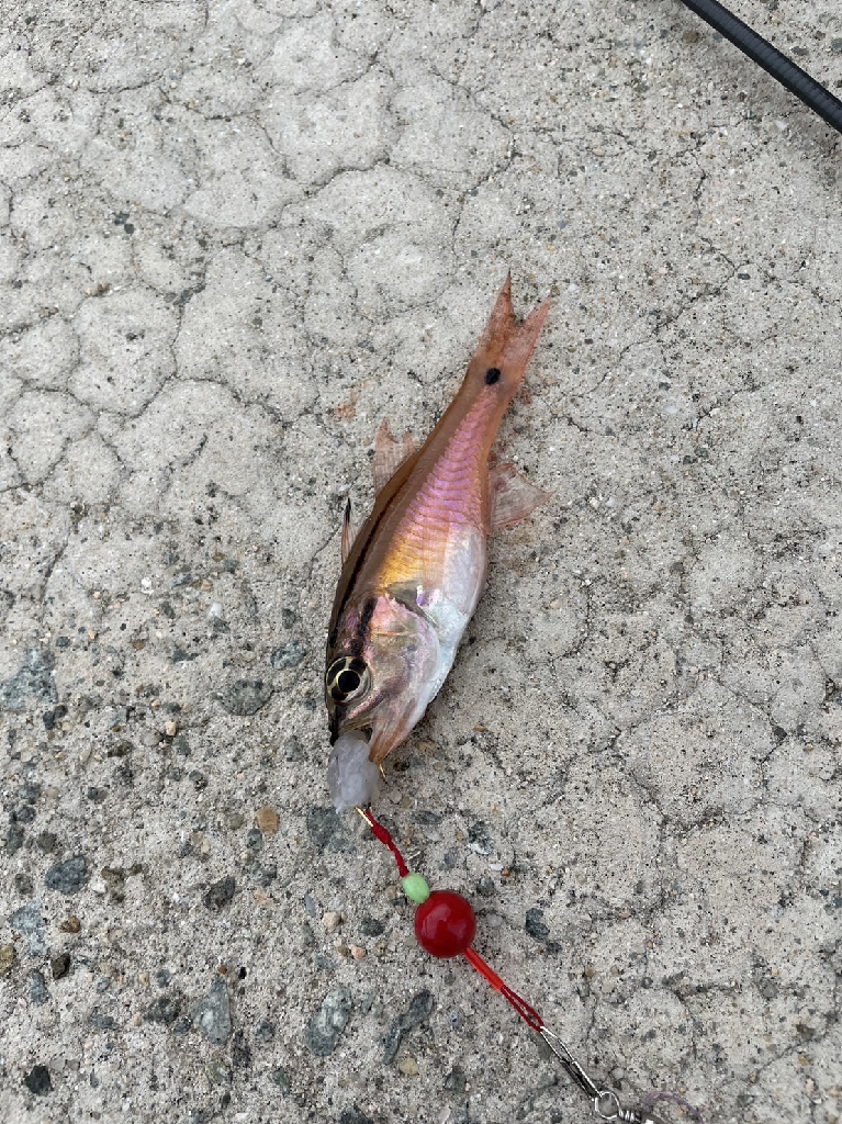 台風の影響はあまりなく
