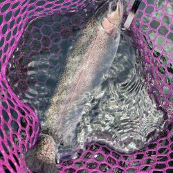 釣食浪漫 ～雨乞い？！～