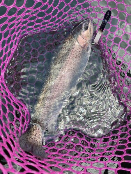 釣食浪漫 ～雨乞い？！～