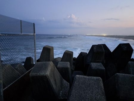 魚も夏バテなのか