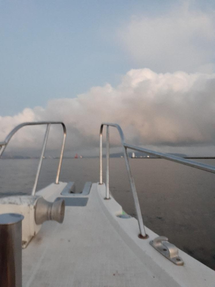 入れ食いなんですがっ😖