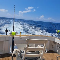 初めてのカジキマグロ釣り