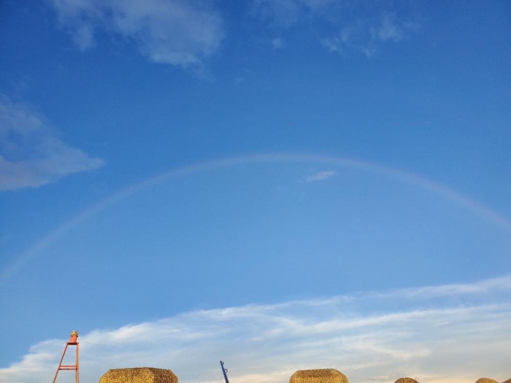 釣れるのはいつも