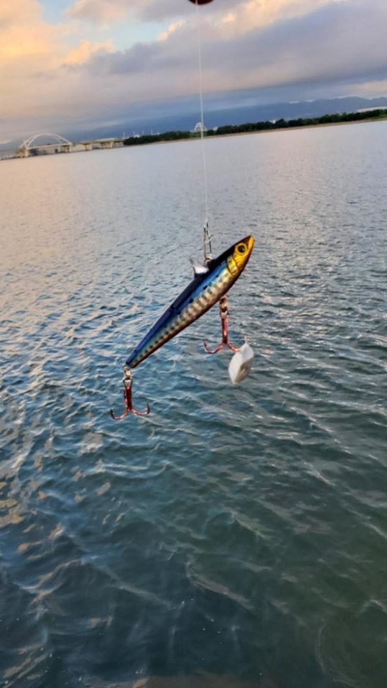 久々の朝マズメはショートバイトラッシュ