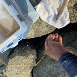 台風一過の激暑シロギス釣行