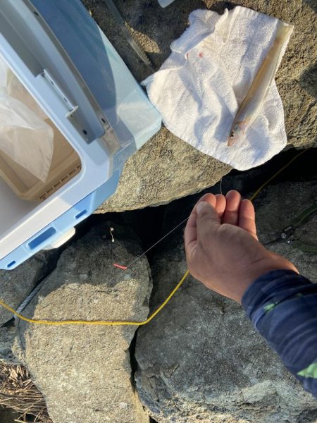 台風一過の激暑シロギス釣行