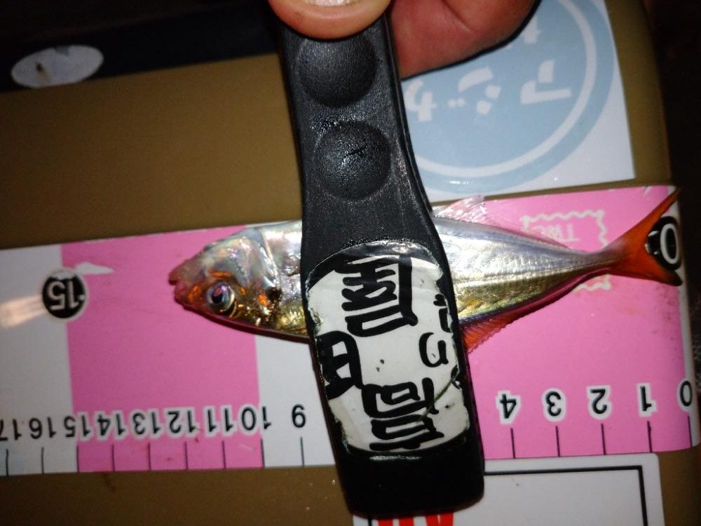 今夜もとにかく修行