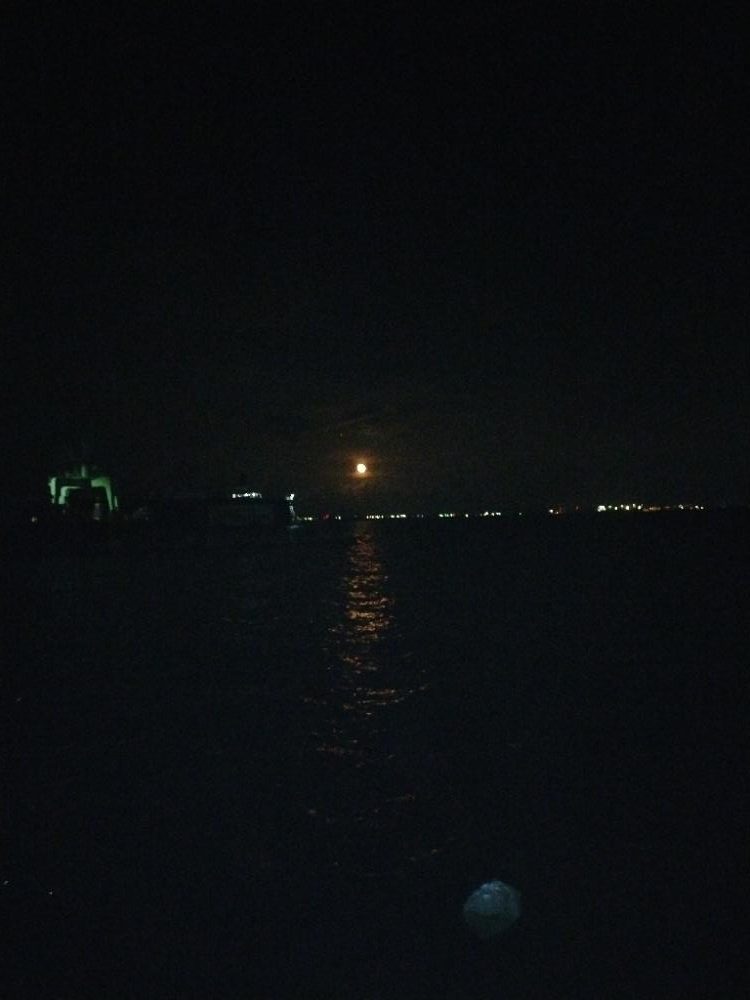 きれいな月とガシラ