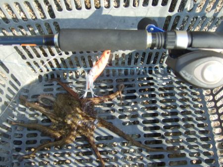 相変わらず渋い