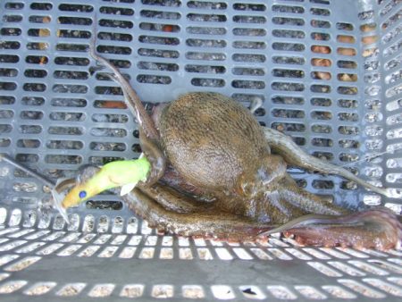 まとまった雨が降ったので
