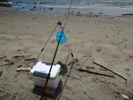 キス釣り　猛暑で苦戦