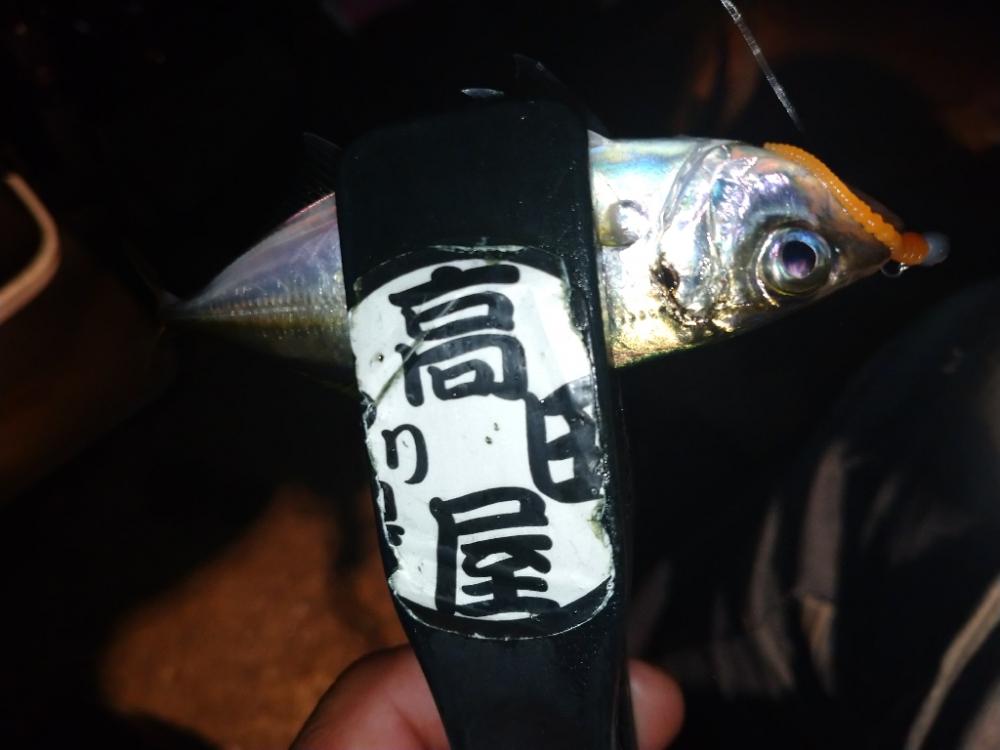 今夜はアジング修行