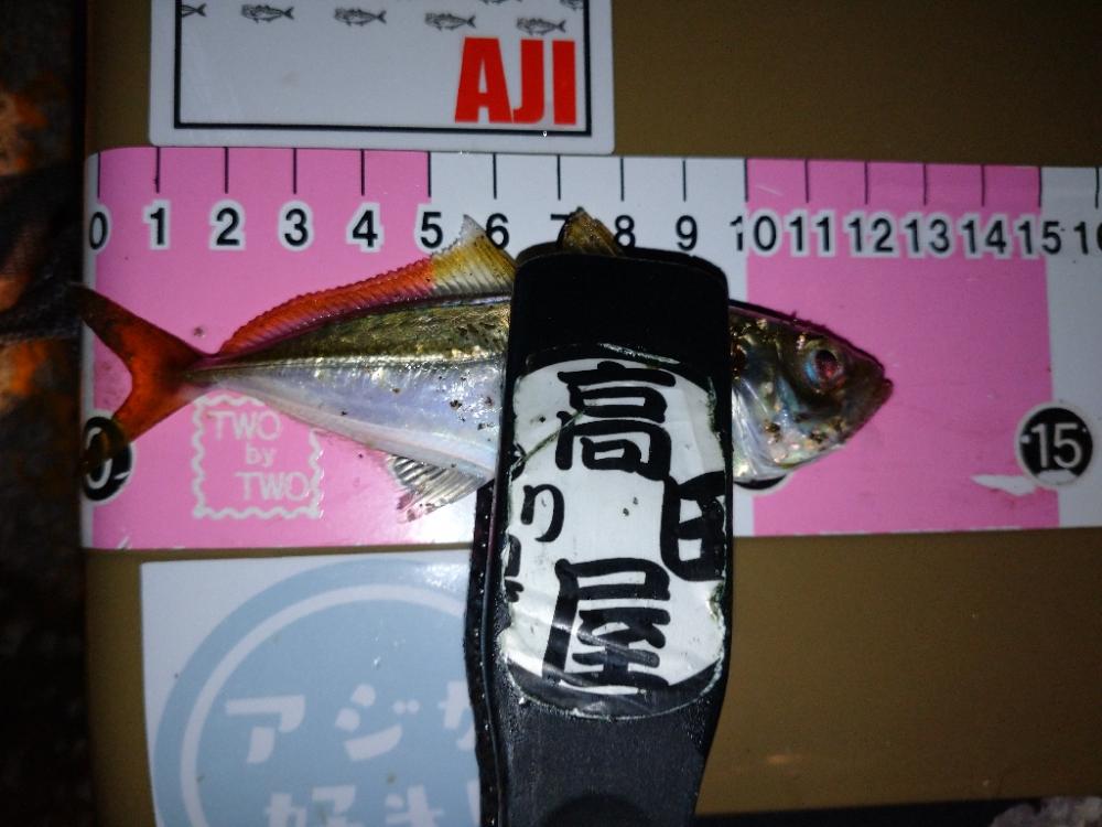 セリアで豆アジ