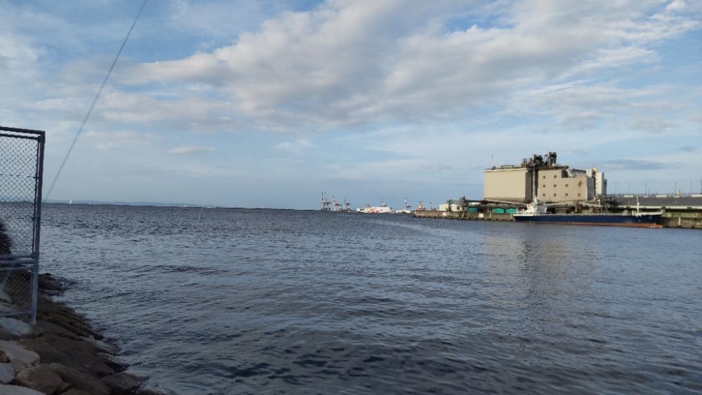 マイポイントオープン