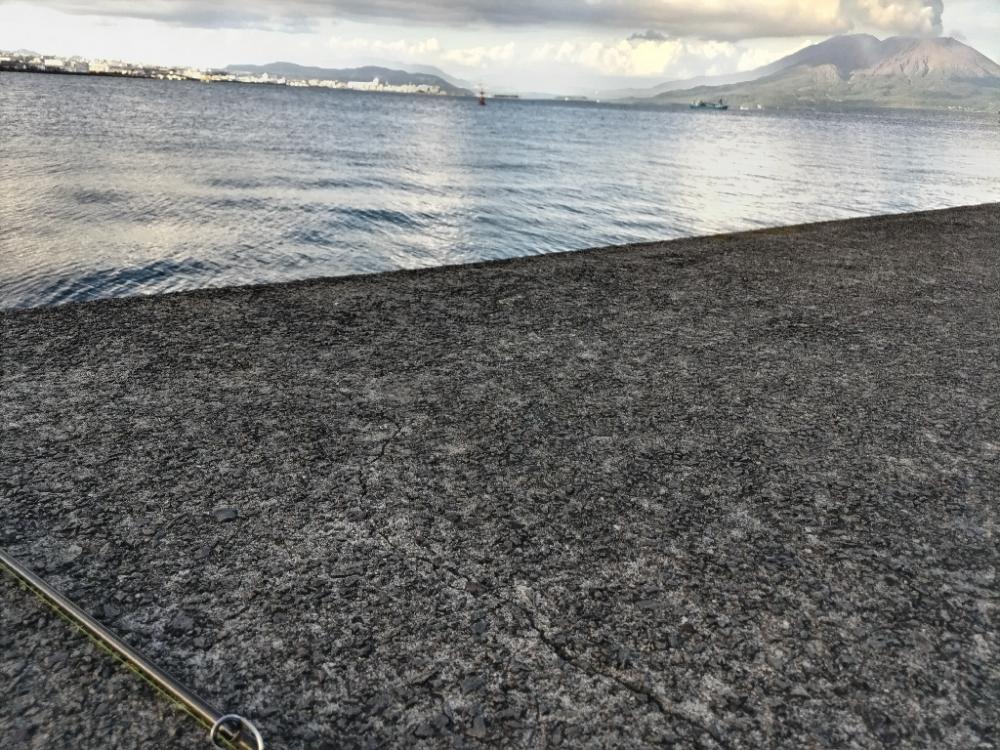 サバとフグ釣れました。