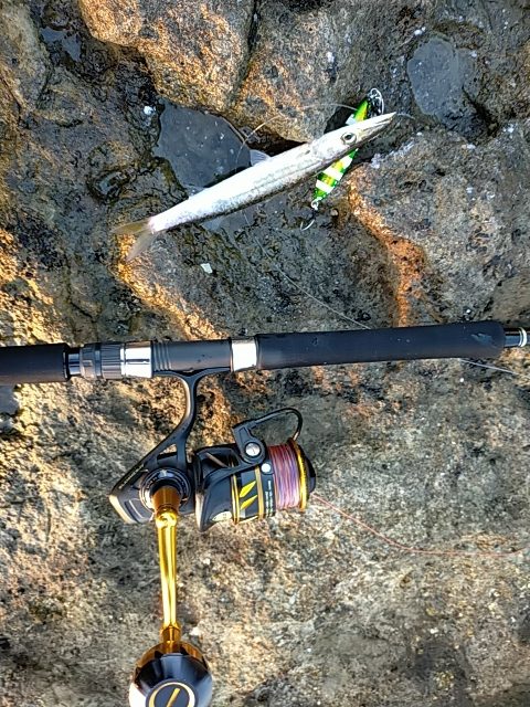 フォールでボトム付近