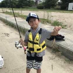 お手軽ハゼ釣り