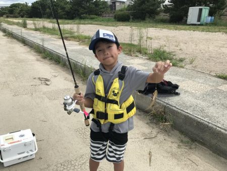 お手軽ハゼ釣り
