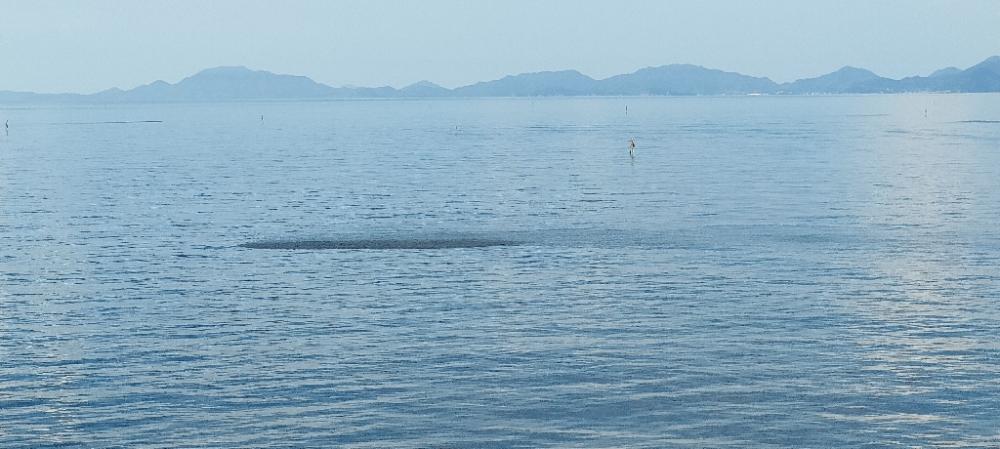 久しぶりのチニング