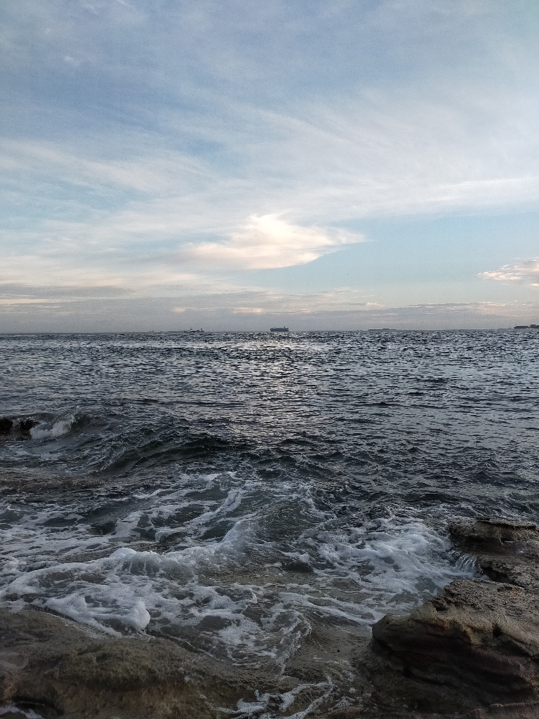 大量のベイトが接岸