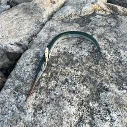 釣れそうな気がしたので