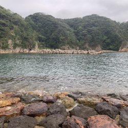 夏アジング&ガシリング