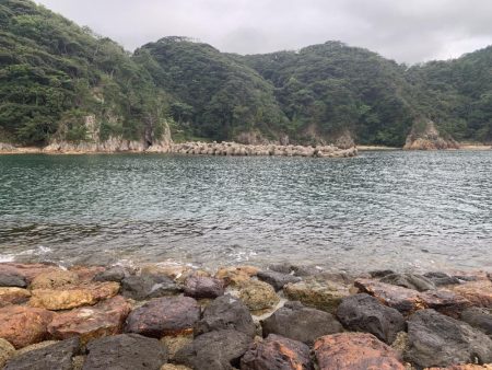 夏アジング&ガシリング