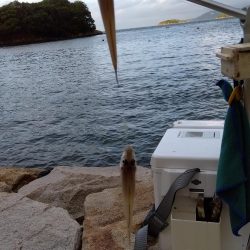 室津のキス釣り