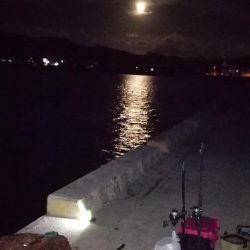 灼熱でのぶっこみ釣り